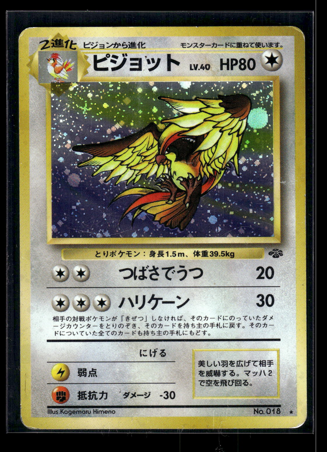 Crease - Pidgeot Pokemon Jungle