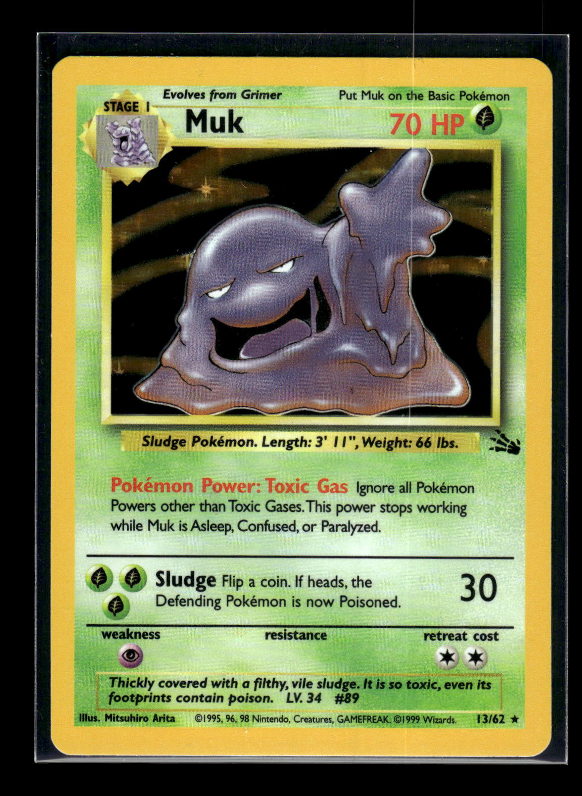 Muk 28/62 - Fossil  - Rare