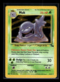 Muk 28/62 - Fossil  - Rare