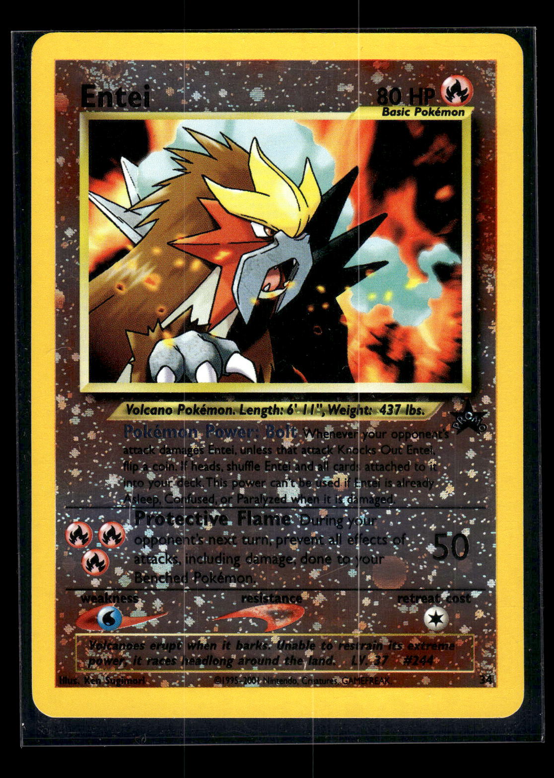 Entei 34 - Wizards Black Star Promos  - Promo
