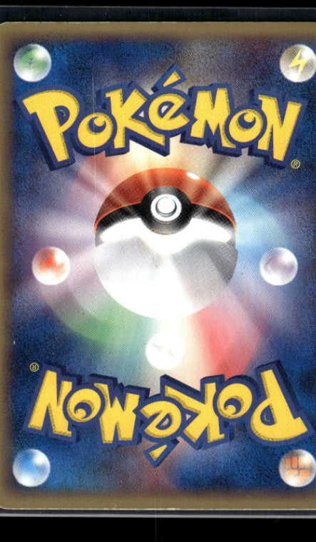 Pikachu 024/ADV-P - ADV Promos  - Promo