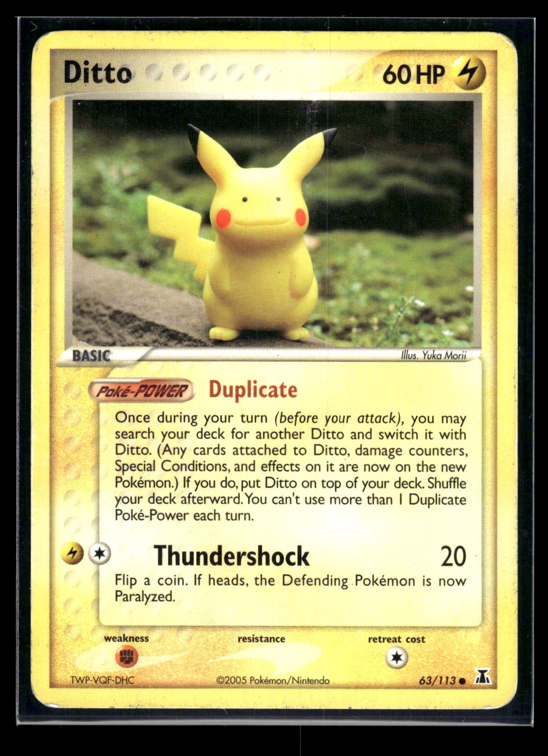 Ditto 63/113 - Delta Species  - Common