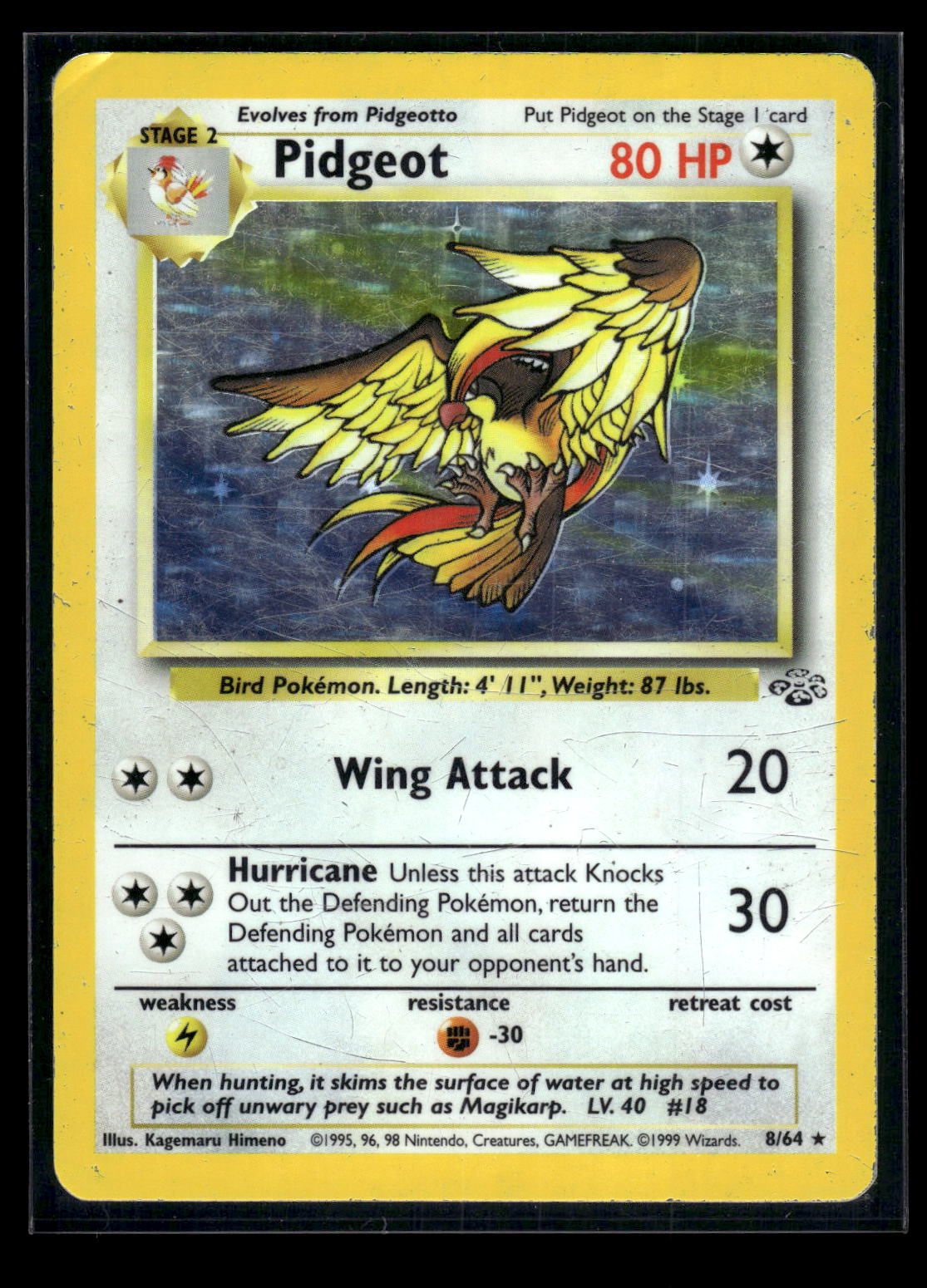 Pidgeot 8/64 - Jungle  - Rare Holo