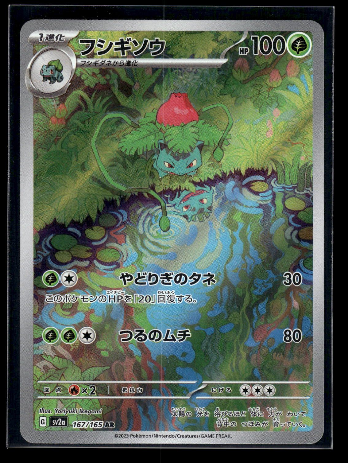 Ivysaur 167/165 - 151  - Illustration Rare