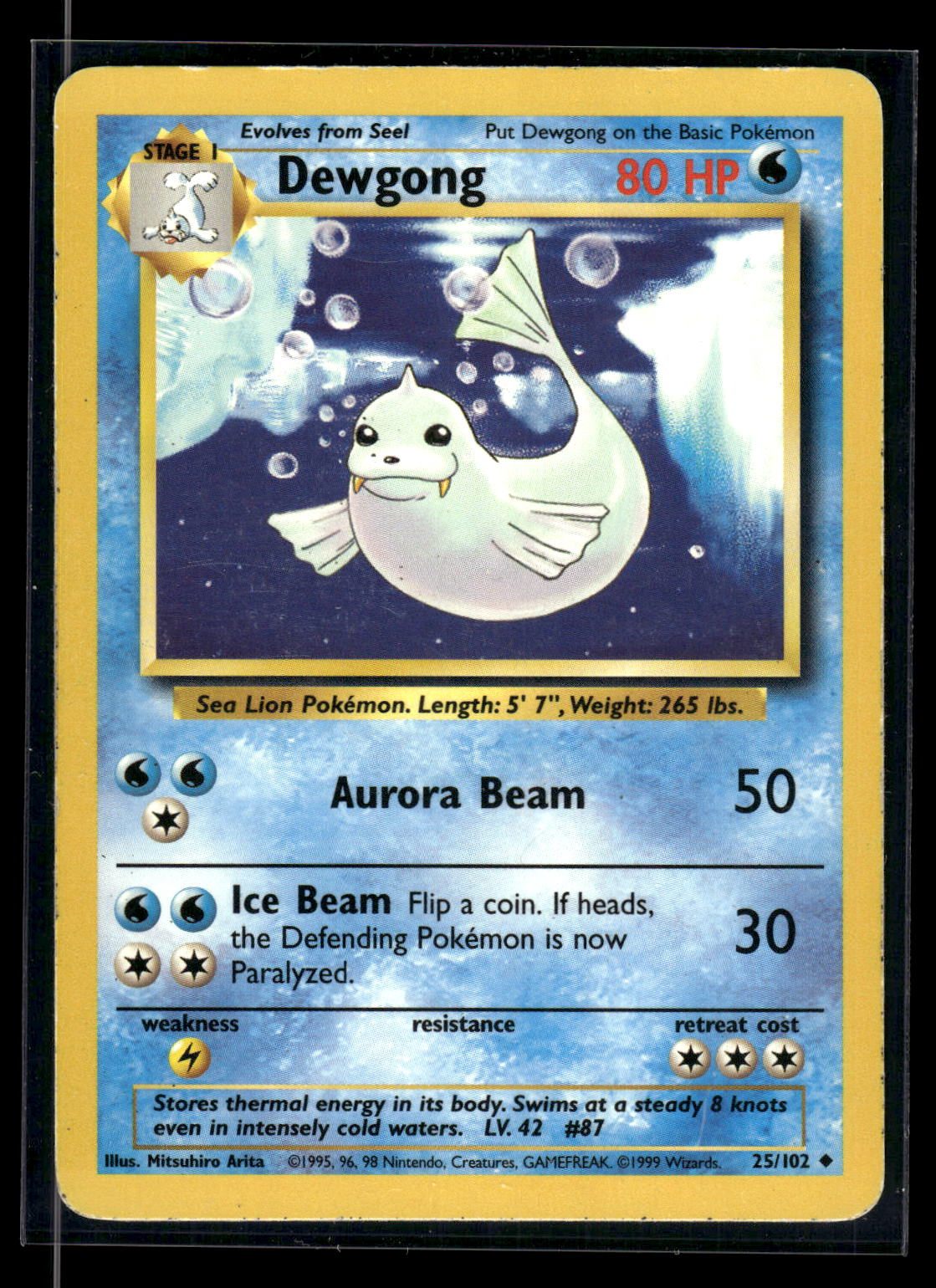 Dewgong 25/102 - Base  - Uncommon