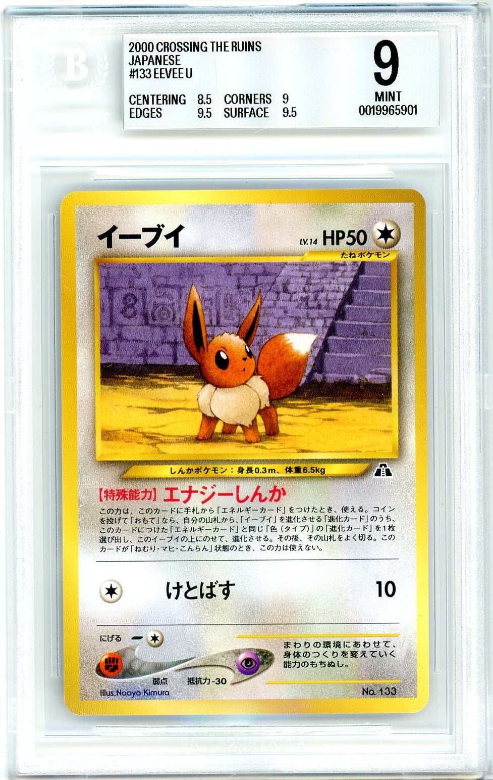 BGS 9 Eevee - Neo Premium File 2 #No.133