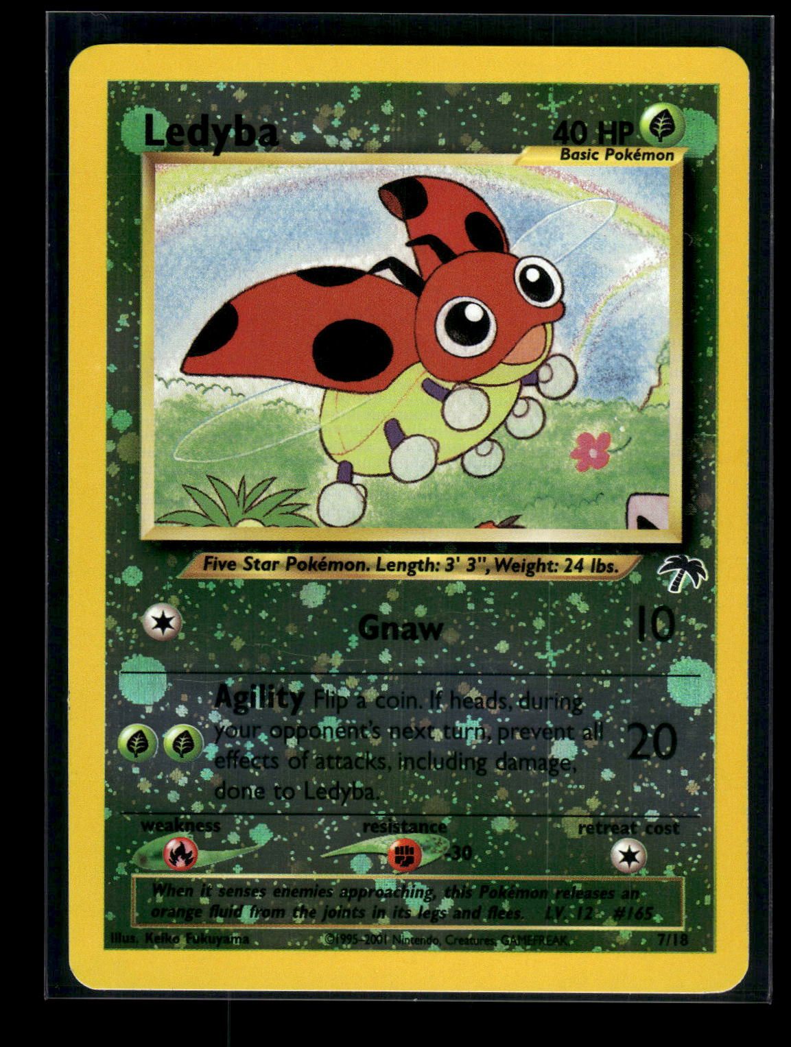 Ledyba 7/18 - Southern Islands