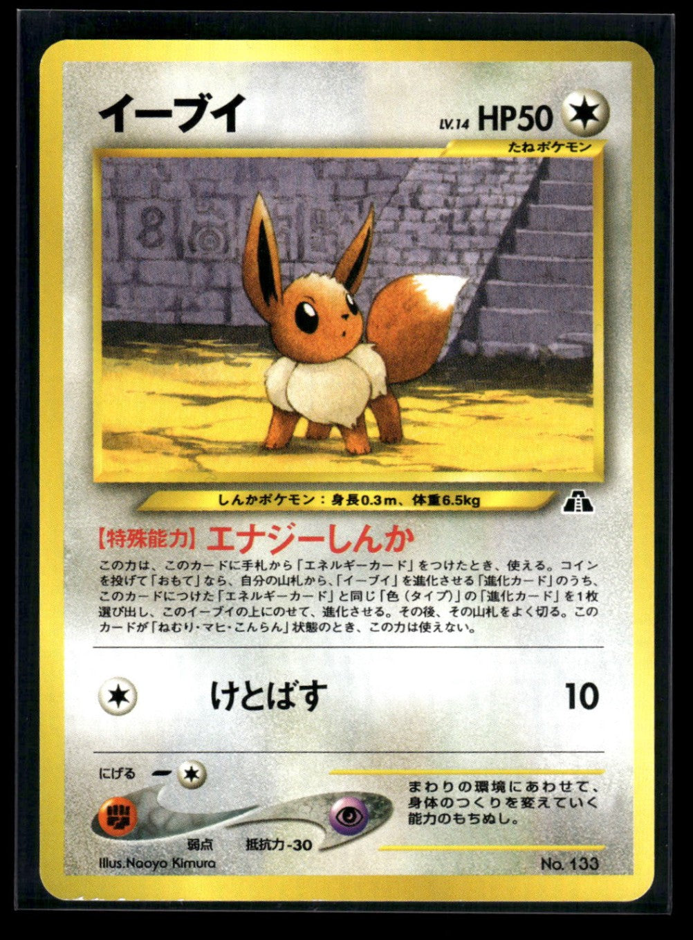 Eevee No.133 - Neo Premium File 2