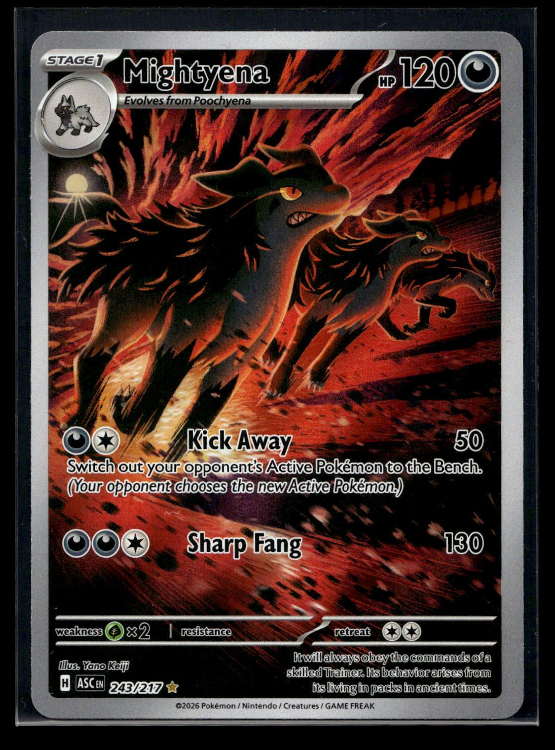 Mightyena 243/217 - Ascended Heroes - Illustration Rare