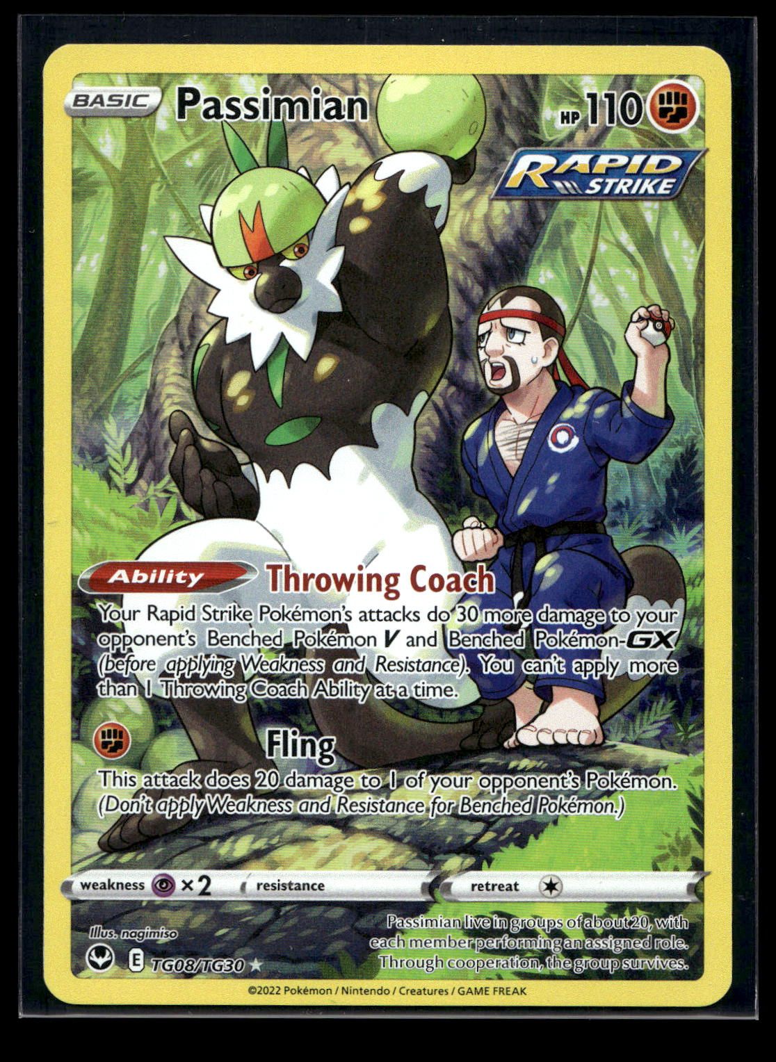 Passimian TG08/TG30 - Silver Tempest Trainer Gallery - Trainer Gallery Rare Holo