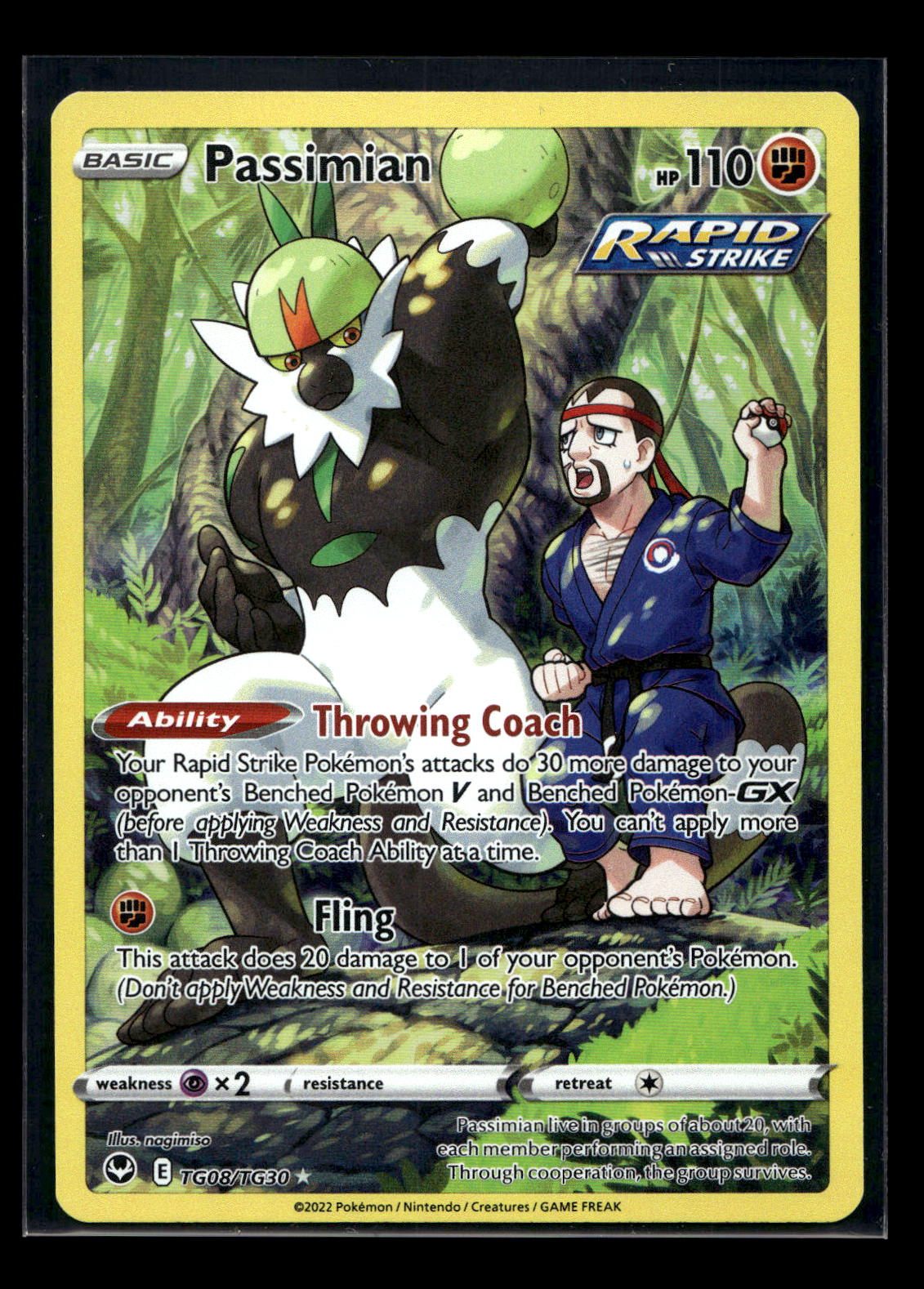 Passimian TG08/TG30 - Silver Tempest Trainer Gallery - Trainer Gallery Rare Holo