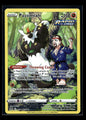 Passimian TG08/TG30 - Silver Tempest Trainer Gallery - Trainer Gallery Rare Holo