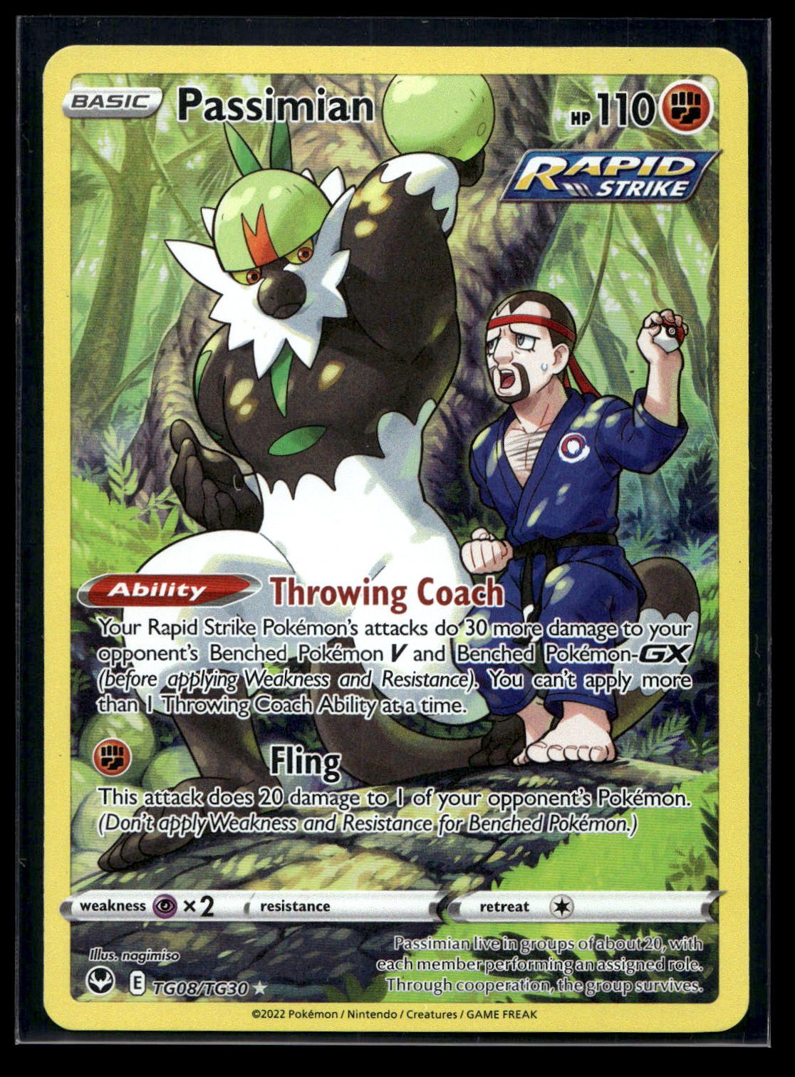 Passimian TG08/TG30 - Silver Tempest Trainer Gallery - Trainer Gallery Rare Holo