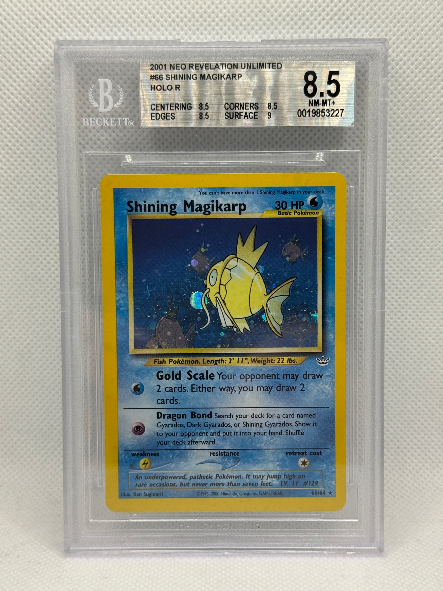 BGS 8.5 - Shining Gyarados 65/64 & Shining Magikarp 66/64 Sequential Set - Neo Revelation
