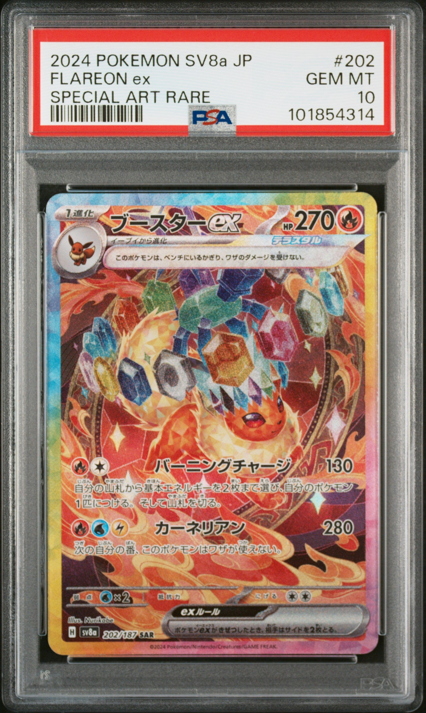 PSA 10 - Flareon 202/187 - Terastal Festival ex / sv8a