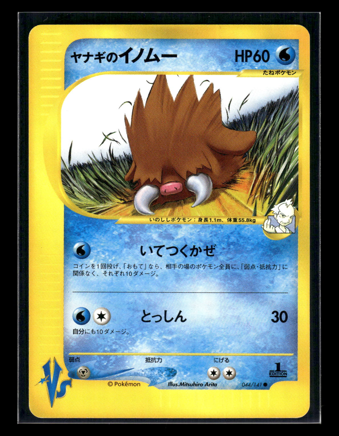 Pryce's Piloswine 044/141 Pokemon VS